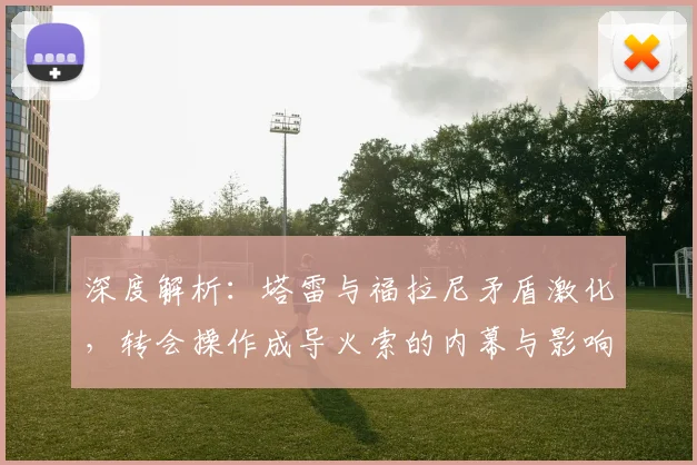 深度解析:塔雷与福拉尼矛盾激化,转会操作成导火索的内幕与影响