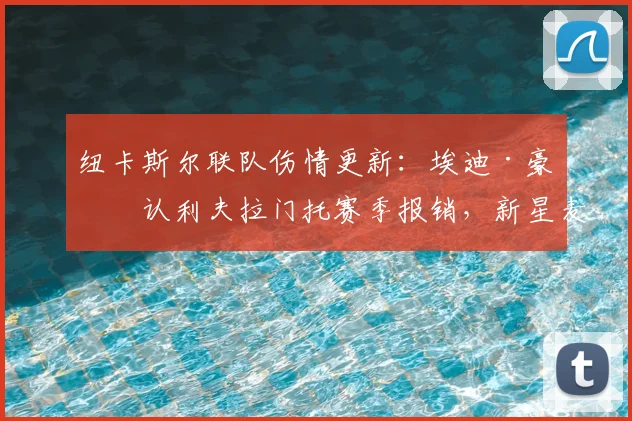 纽卡斯尔联队伤情更新：埃迪·豪确认利夫拉门托赛季报销，新星麦利遭遇骨折，边路防线告急
