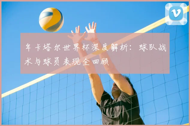 年卡塔尔世界杯深度解析:球队战术与球员表现全回顾