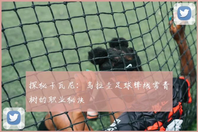 探秘卡瓦尼：乌拉圭足球锋线常青树的职业秘诀
